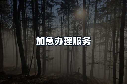 加急办理服务